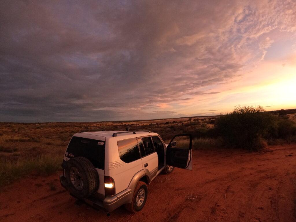 Kgalagadi Safari