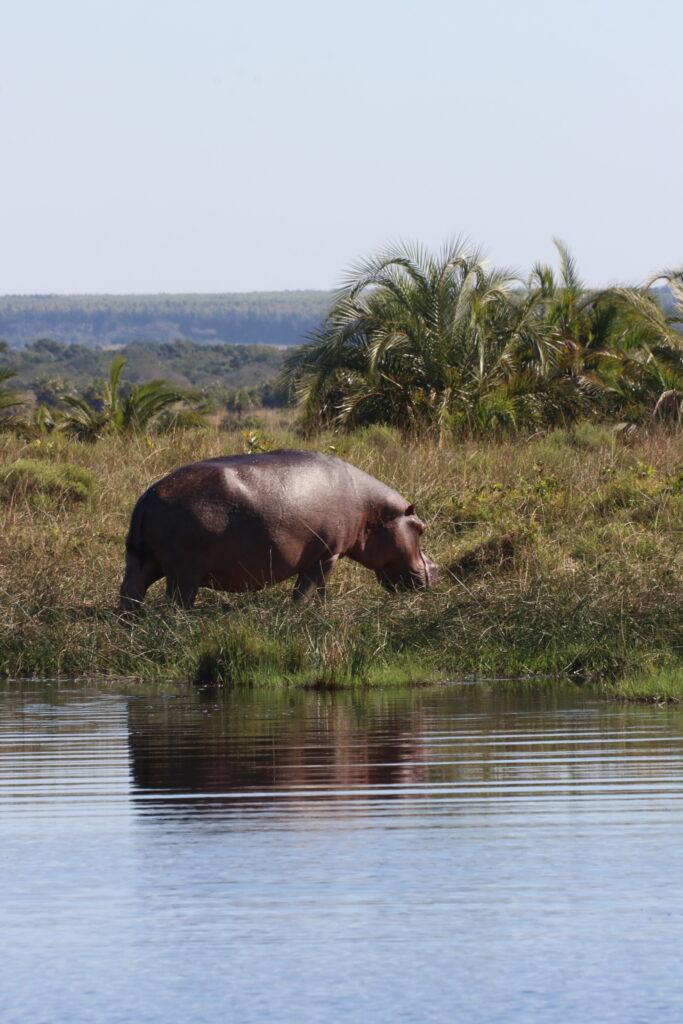 South Africa Coastal safari tour adventure